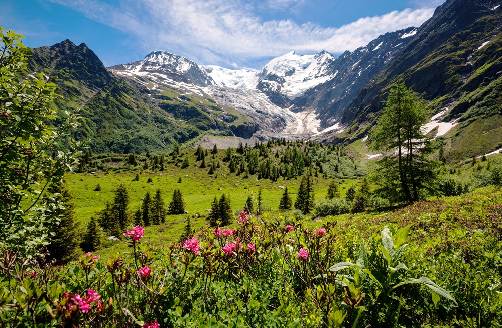 Paysage d'un massif montagneux avec le mont blanc dans les Alpes